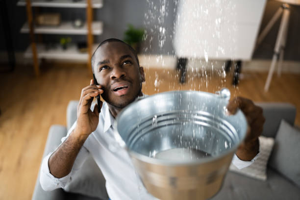 Best Ceiling water damage repair  in Ada, OK