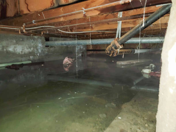 Best Flooded house restoration  in Ada, OK