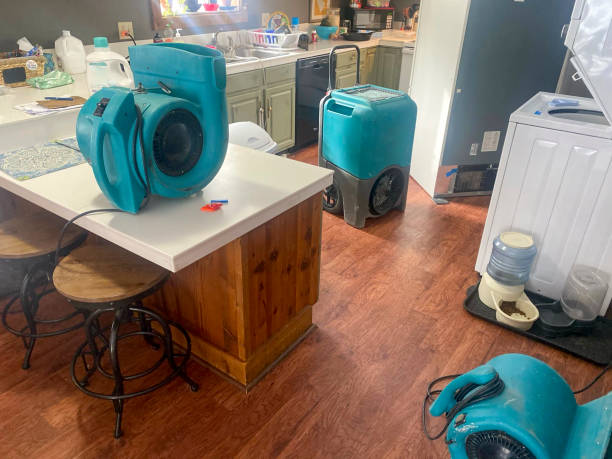 Best Water damage restoration near me  in Ada, OK