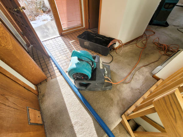 Best Emergency water damage restoration  in Ada, OK