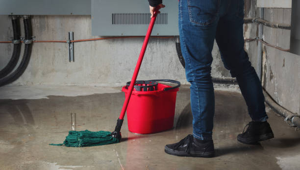 Best Water damage restoration experts  in Ada, OK