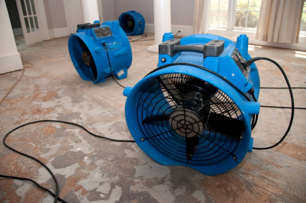 Best Carpet water damage restoration  in Ada, OK