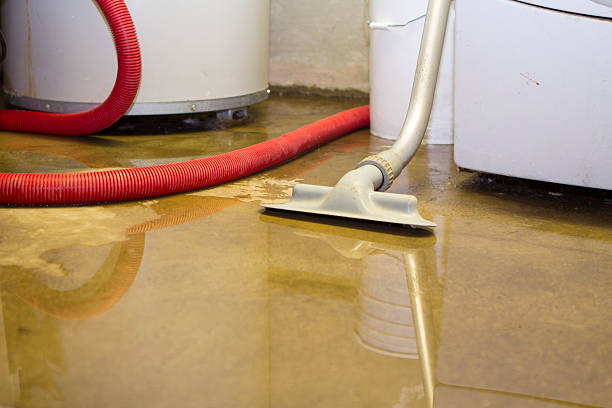 Best Sewage cleanup and water damage restoration  in Ada, OK